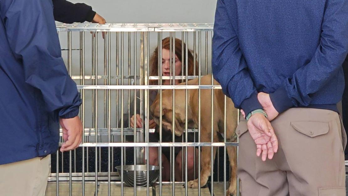 British businessman, 33, 'stabbed to death' as wife, 20, is questioned over murder