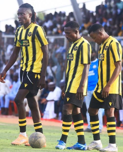 NNL: Ranchers Bees Embrace New Grounds for Round Two!