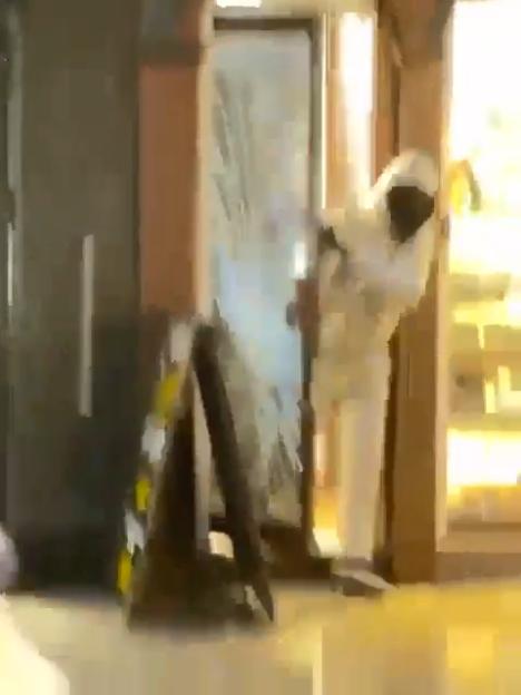 NINTCHDBPICT001060352752