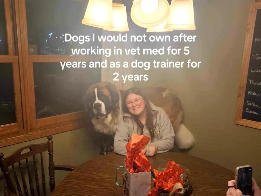 7 Dog Breeds I’d Avoid: Trainer Warns of Unstable Behavior and Health Risks