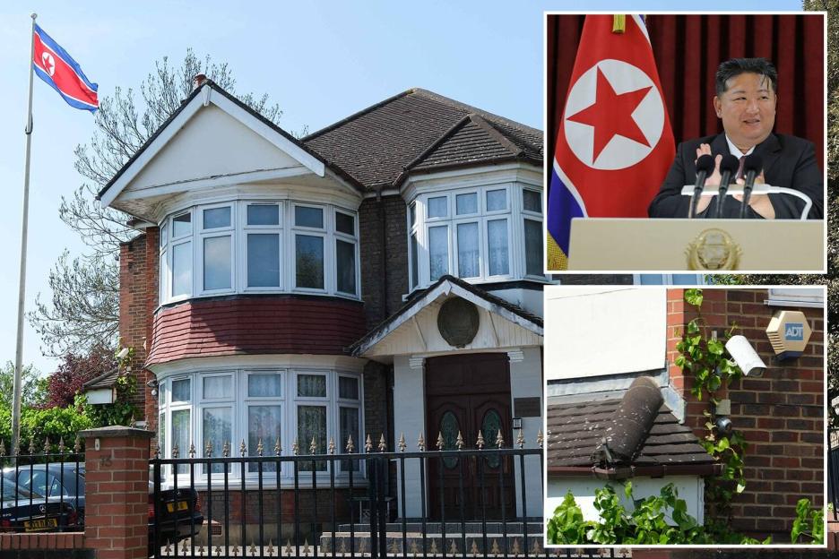 Life Next to North Korea's Embassy: Kim Jong Un's Staff Enjoy Takeout Curry and Shoot Hoops in the Backyard!