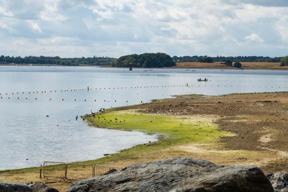 Britain's Sole Inland Blue Flag Beach Shut Down Over Deadly Dog-Bacteria Alert