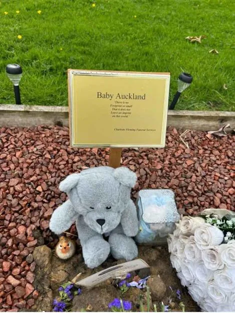 Memorial for Baby Auckland with a teddy bear and flowers.