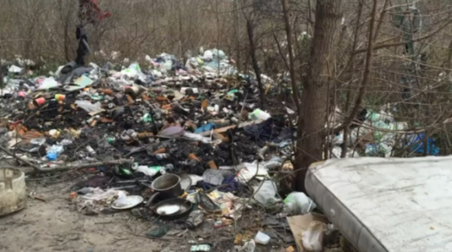 An illegal dumping ground with trash and debris covering a forest floor.