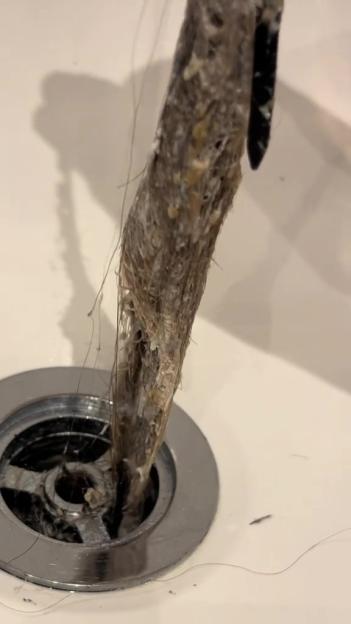 NINTCHDBPICT000965514195