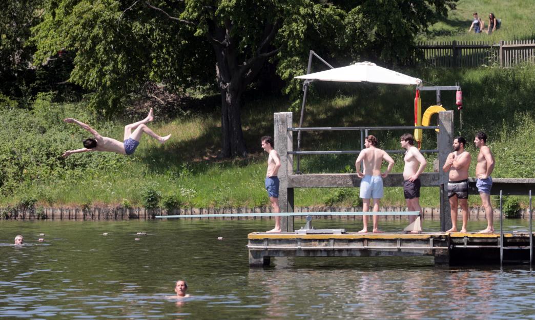 People jumping into and swimming in Hampstead Ponds on a hot day.