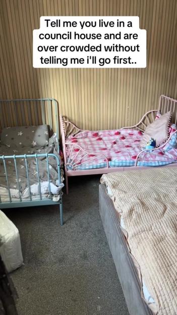 NINTCHDBPICT001037547589