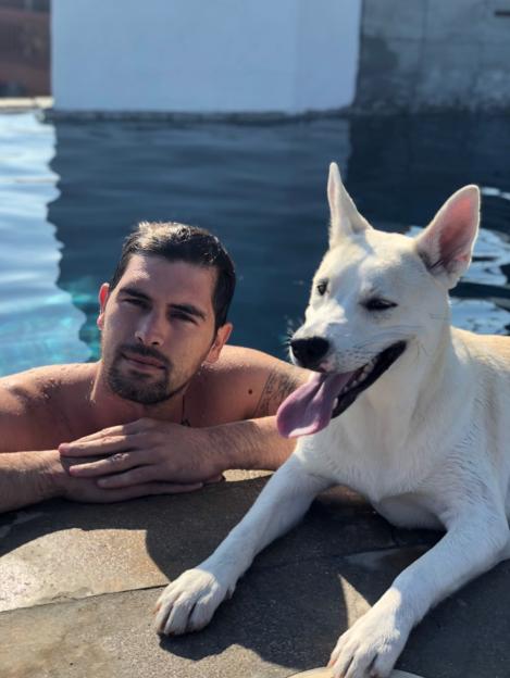 NINTCHDBPICT001062276151