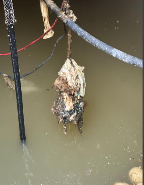 Blocked equipment with a significant build-up of condoms, wet wipes, and fats hanging over murky water.