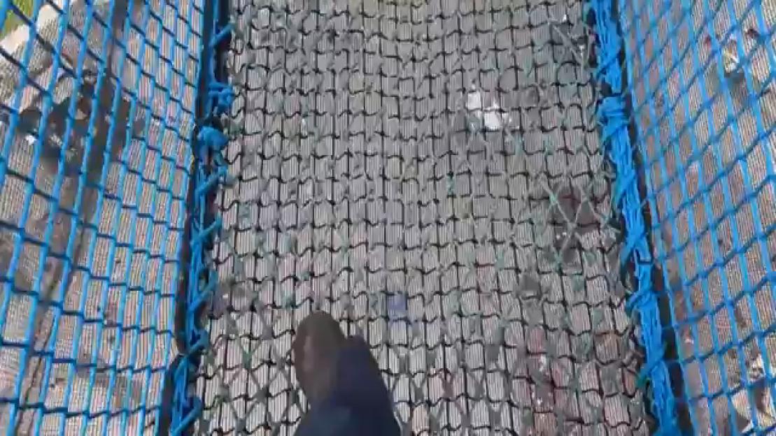 NINTCHDBPICT001071026078