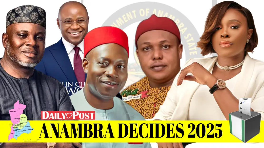 Anambra Votes: Insights from International Observers and Civil Society Groups on the Gubernatorial Election