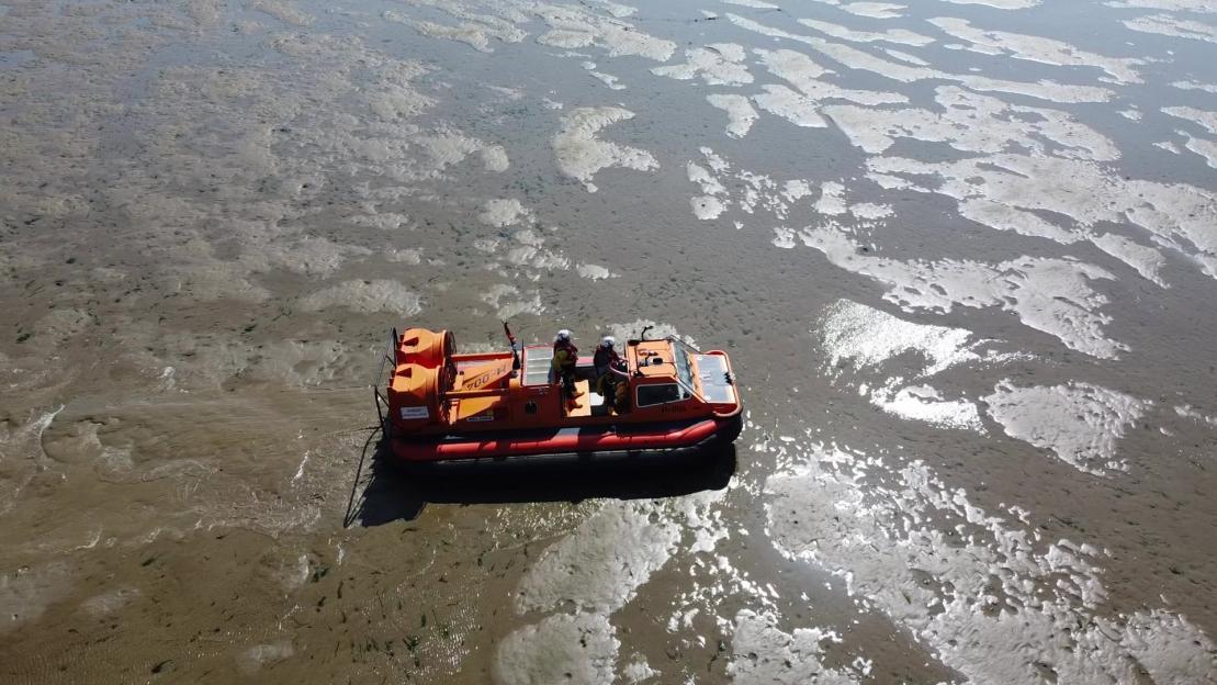 Five Kids Saved from Rising Tide After Being Stranded Half a Mile Offshore