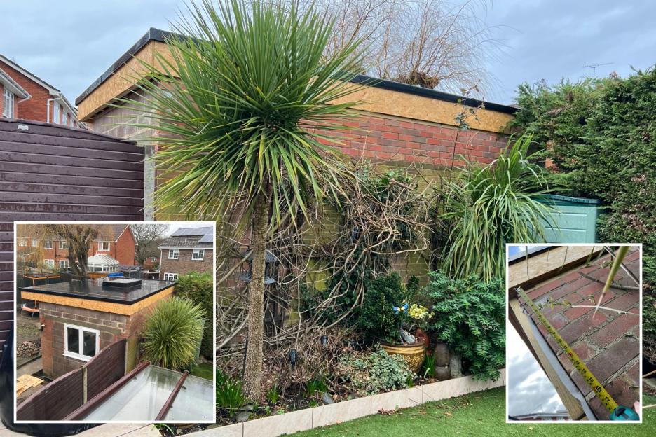 'My Neighbor's 10-Foot Garden Office is Shading My Home, and I Had No Idea It Was Built Without Warning!'