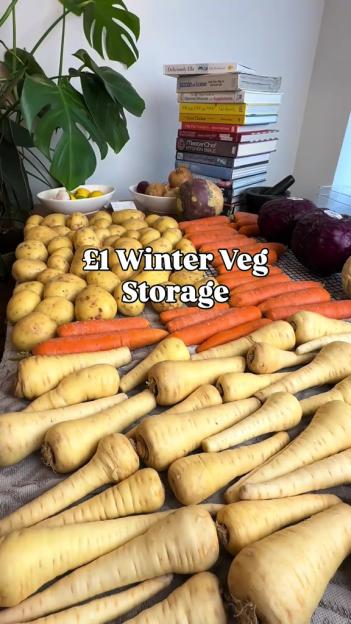 I Scored Aldi's 5p Veg Deal for Just a Pound—Here’s How to Store Them to Last Until March!