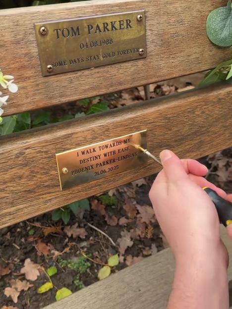 NINTCHDBPICT001047717171