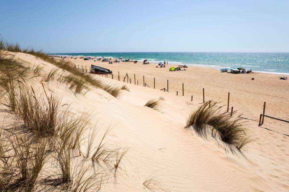 View along a white sand beach on a summer afternoon in El Palmar de Vejer, Costa de la Luz, Cadiz province, Andalucia, Spain.