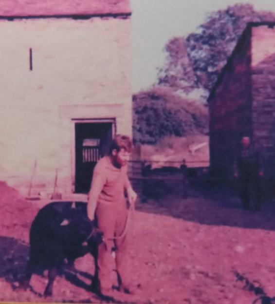 John Philip Charlesworth, a farmer, with a calf on his farm.