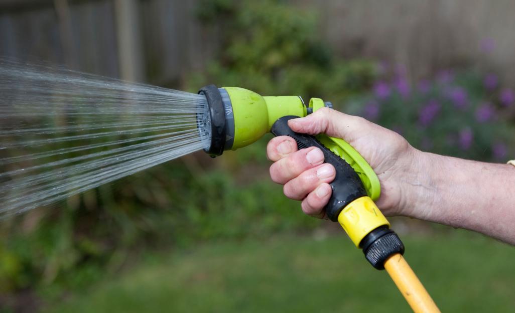 Unlock the Secrets to a Lush, Green Lawn: Soil Scientist Shares Perfect Watering Tips for Summer!