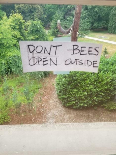 A handwritten sign taped to a window that reads "DON'T BEES OPEN OUTSIDE."