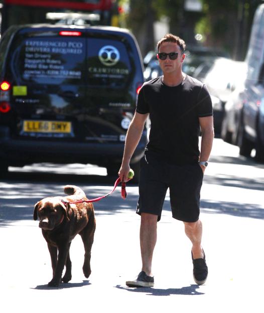 Anthony McPartlin walking his dog Hurley in the sunshine. Featuring: Anthony McPartlin, Ant McPartlin Where: London, United Kingdom When: 02 Jul 2018 Credit: WENN.com