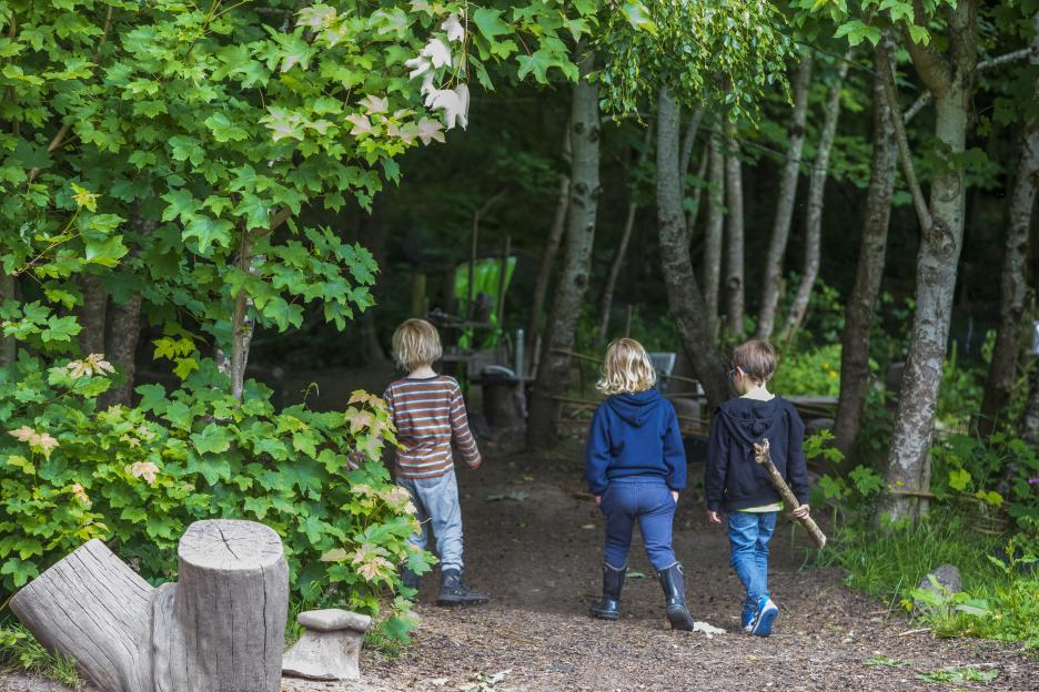 Three children playing outdoors in a wooded area.