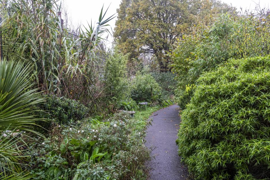 A winding footpath through a lush award-winning garden with various plants.