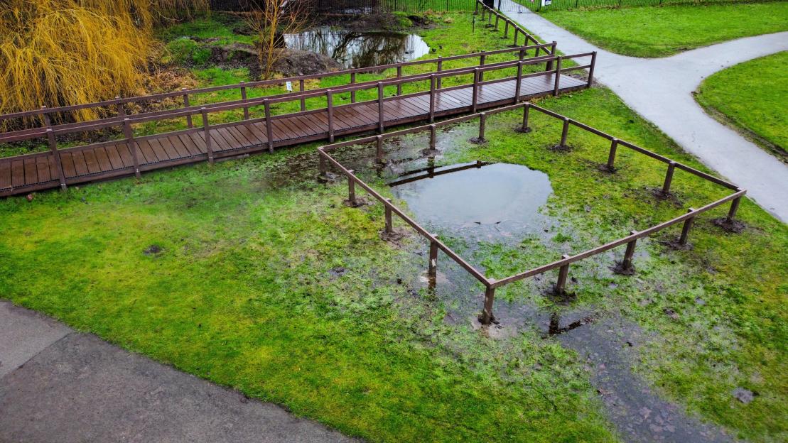 Locals Amused by Safety Fence Surrounding Shallow ‘Drowning Hazard’ Puddle