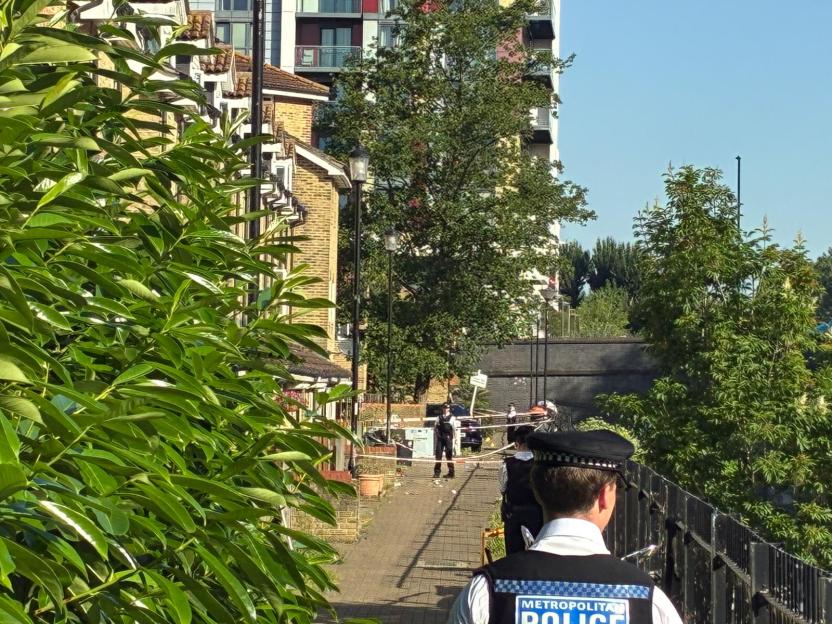 Teenage Boy Fatally Stabbed in Machete Brawl Following House Party