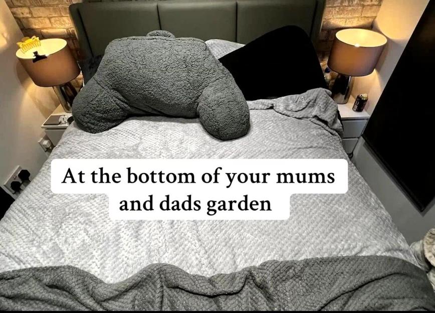 Bedroom with a grey bed, bedside tables, lamps, and text overlay that reads "At the bottom of your mums and dads garden".