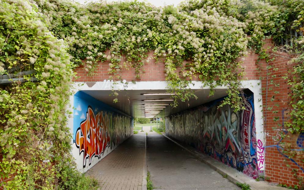 Police Seek Witnesses After 47-Year-Old Arrested for Attempting to Kiss Teen Girl Under Bridge