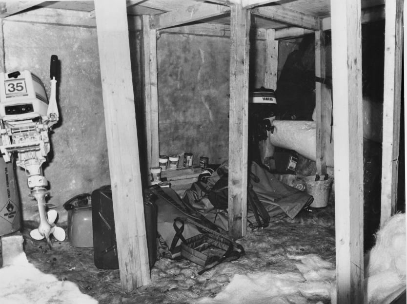 NINTCHDBPICT001040964351