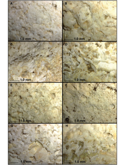 Collage of 8 magnified views of the surface of stones, showing textures and details at 1.0 mm scale.
