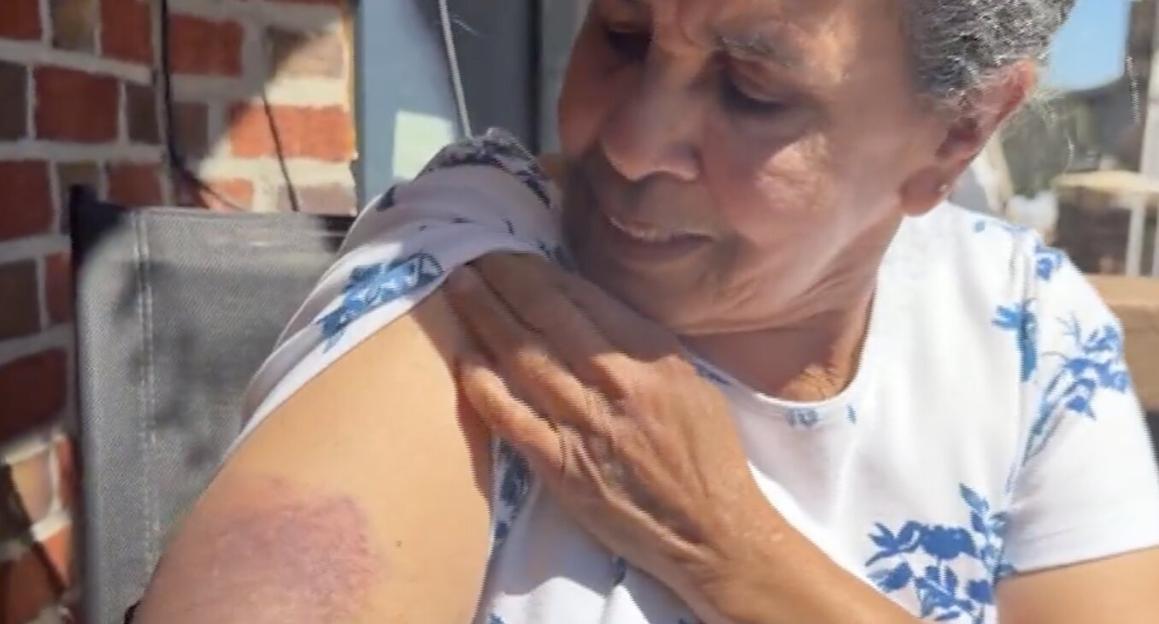 NINTCHDBPICT001073012633