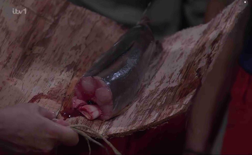 Chopped eel for dinner in the camp.