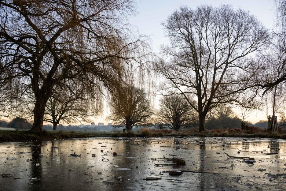 A frozen lake with bare trees in Richmond Park, London, England.