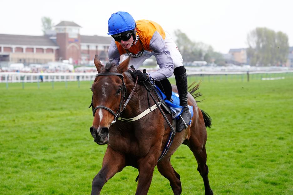 2026 Scottish Grand National Results: Discover the Winner, Fallers, and Full Finishing Order from Ayr's Spectacular 3:35 Showdown!