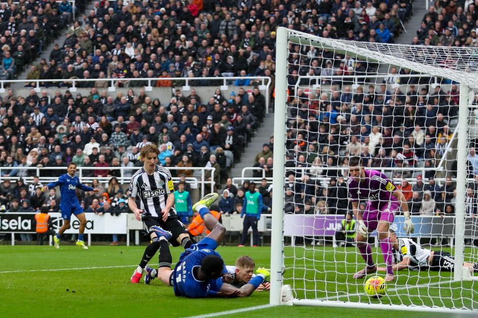 Newcastle United v Everton - Premier League