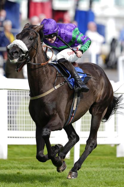 Caoilin Quinn riding Give It To Me OJ in a horse race.