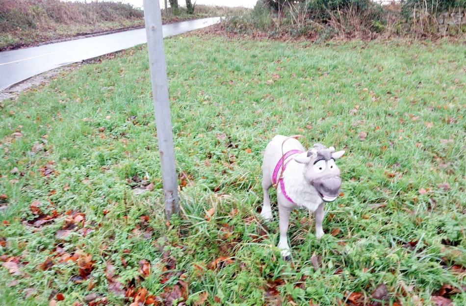 Police Race to Rescue Abandoned 'Bully-Type Dog' in Park—But What They Discover Tied to a Lamppost is Astonishing!