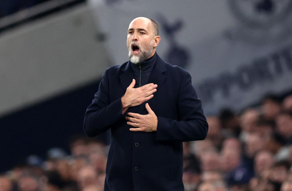 Tottenham Hotspur v Crystal Palace - Premier League