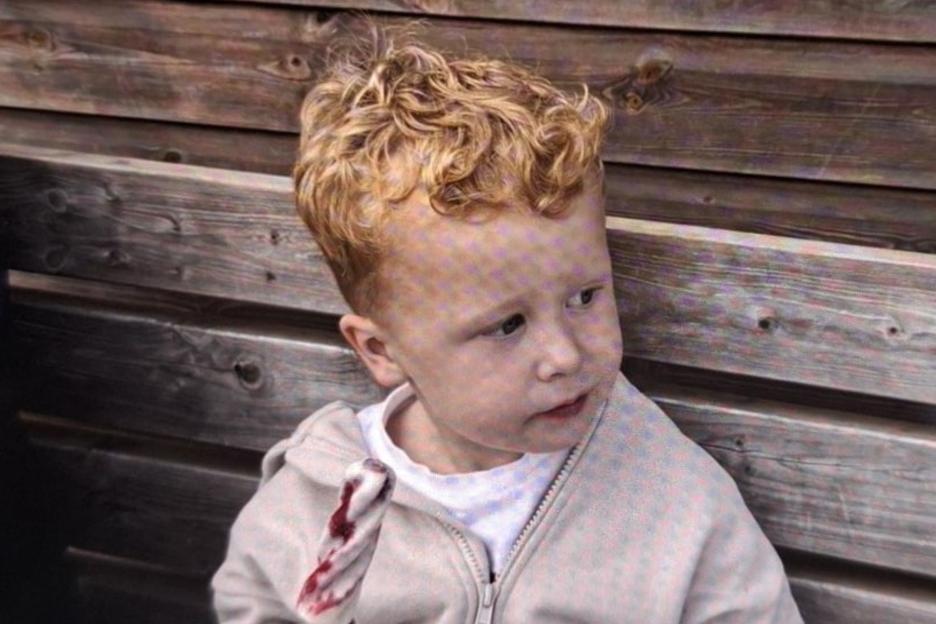 Desperate hunt for boy, 3, who vanished from village playground as cops ask locals to search their gardens and sheds