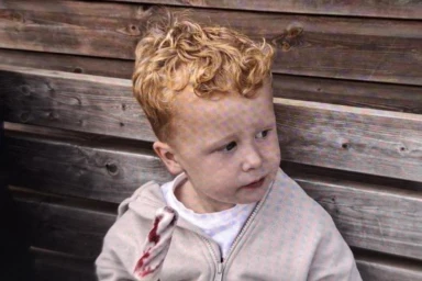 Desperate hunt for boy, 3, who vanished from village playground as cops ask locals to search their gardens and sheds