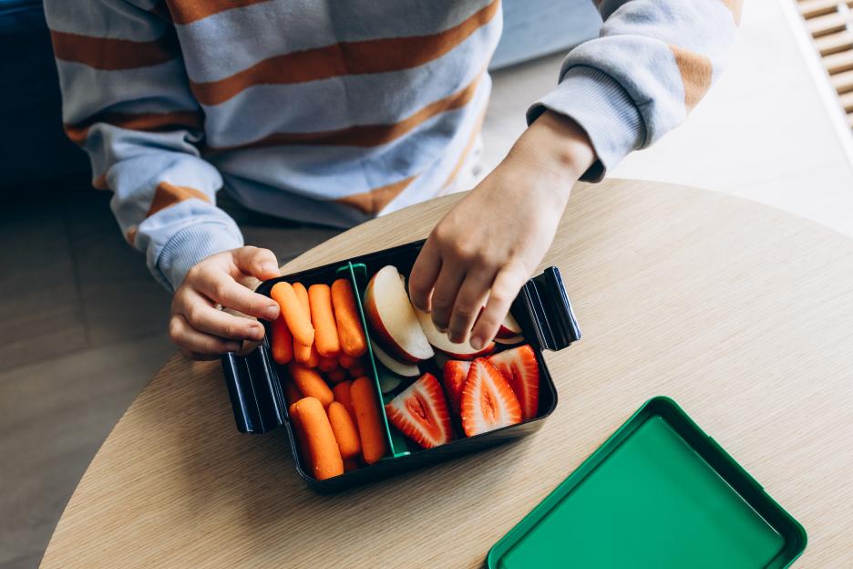 Healthy snack box with fresh apple slices, strawberries and carrots in child hands. Representing healthy eating habits, kids organic nutrition and clean lifestyle choices.