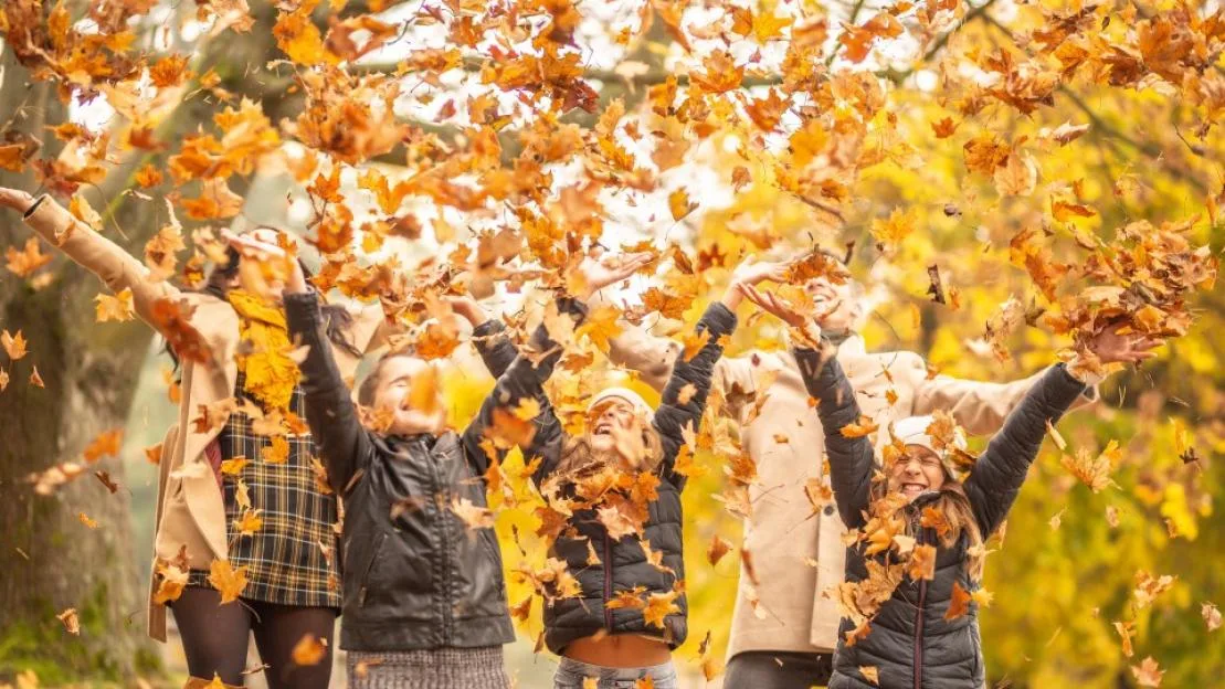 Family having fun outdoors in the autumn, throwing fallen leaves up in the air.
