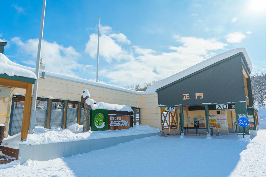 Asahiyama Zoo in winter season. landmark and popular for tourists attractions in Asahikawa, Hokkaido, Japan. Asahikawa, Japan, 3 February 2023