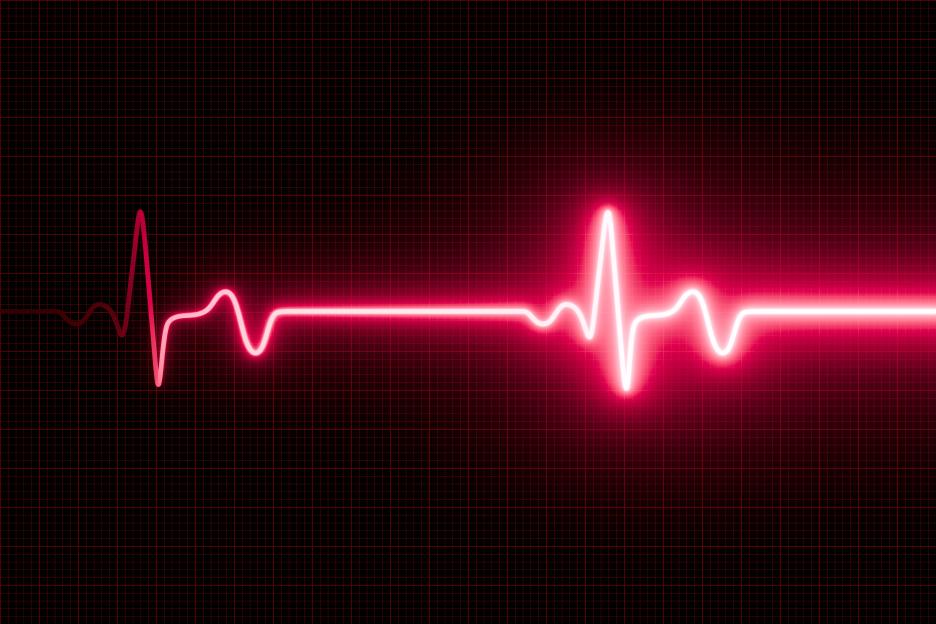 Heart rate monitor