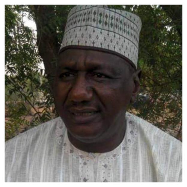 'Nigerian Democracy Under Siege by Court Decisions, Warns Kakah'