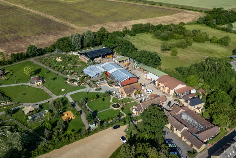 Boy, three, 'critical' after crocodile mauling at zoo as man arrested
