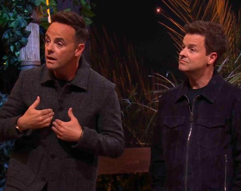 Ant and Dec discussing events on "I'm A Celebrity...Get Me Out Of Here! South Africa".