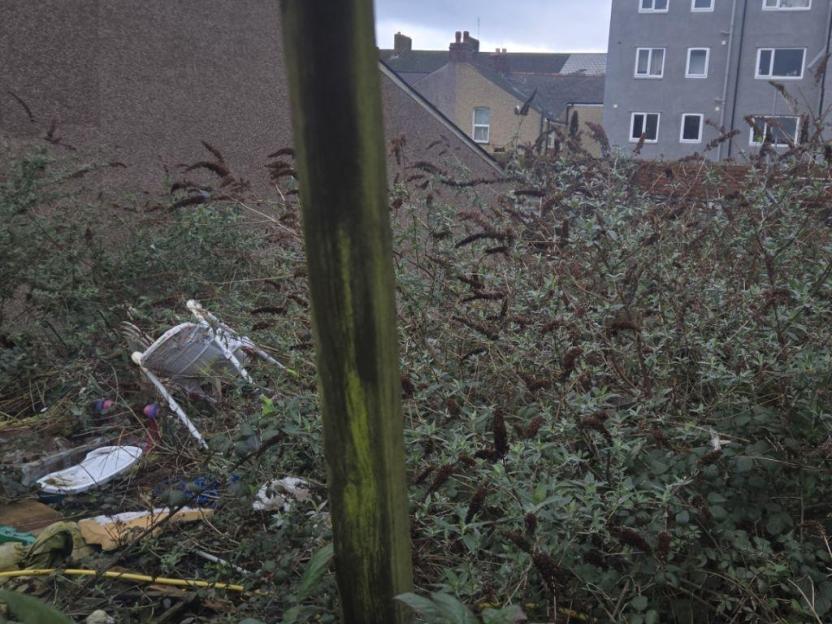Fly-tipping and overgrown vegetation on Newport's Pottery Road, with an upturned chair and other rubbish visible.